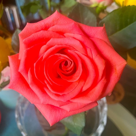 Unlisted Live Show Ítem - Picture 2 of 3